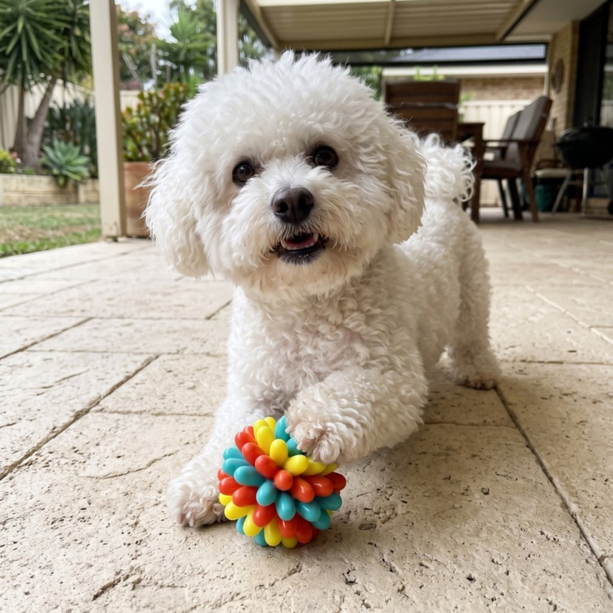 Woofidoo Bounce Dog Chew Ball