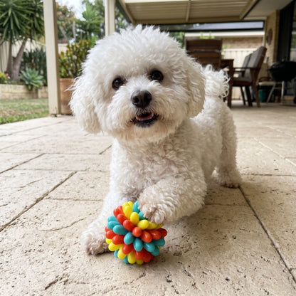 Woofidoo Bounce Dog Chew Ball