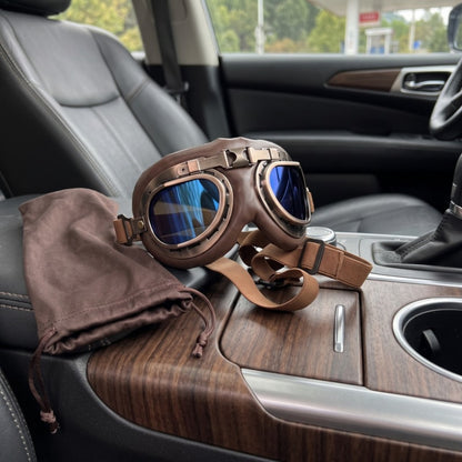 Woofidoo Aviator Dog Goggles
