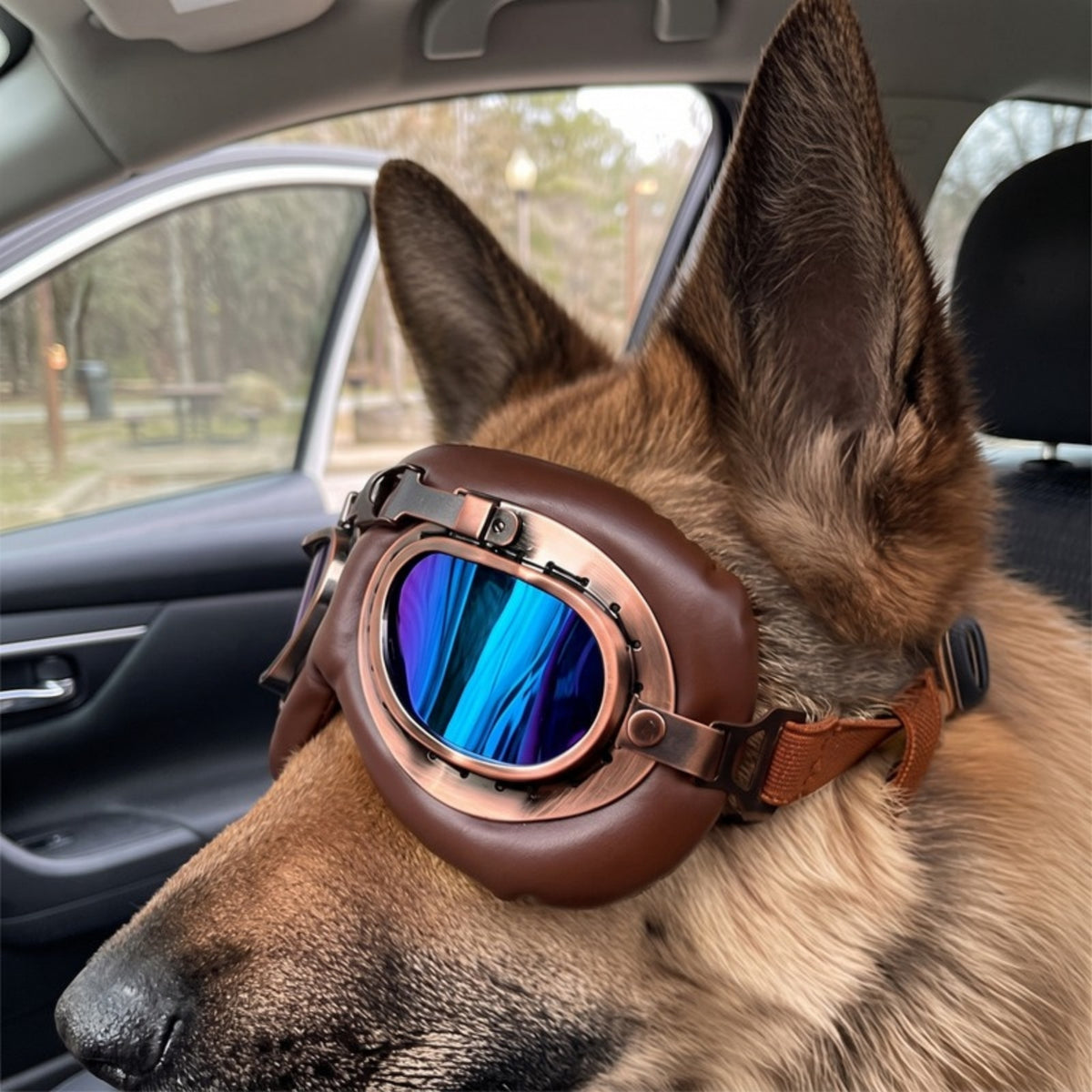 Woofidoo Aviator Dog Goggles
