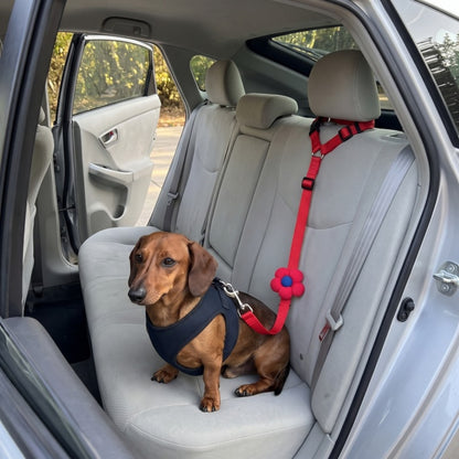 Woofidoo Dog Car Safety Leash