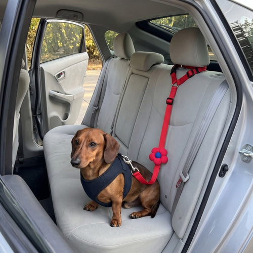 Woofidoo Dog Car Safety Leash