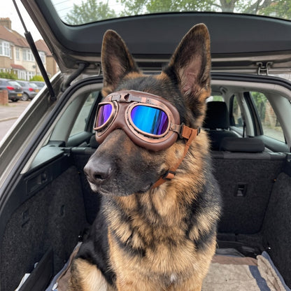 Woofidoo Aviator Dog Goggles