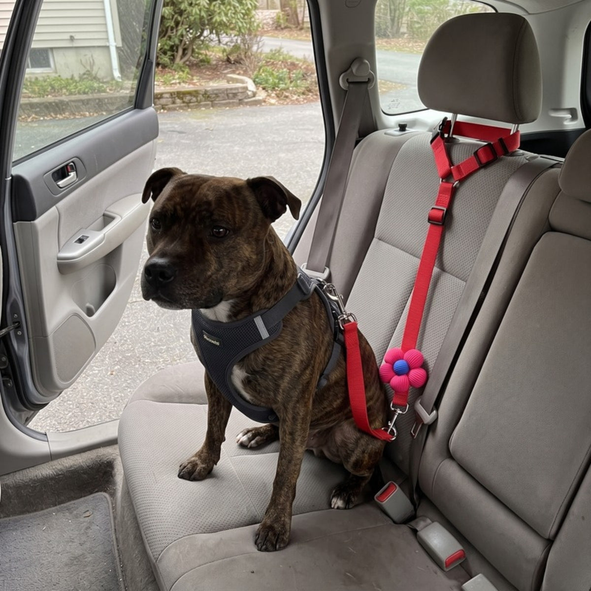 Woofidoo Dog Car Safety Leash