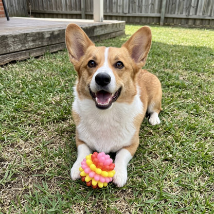 Woofidoo Bounce Dog Chew Ball