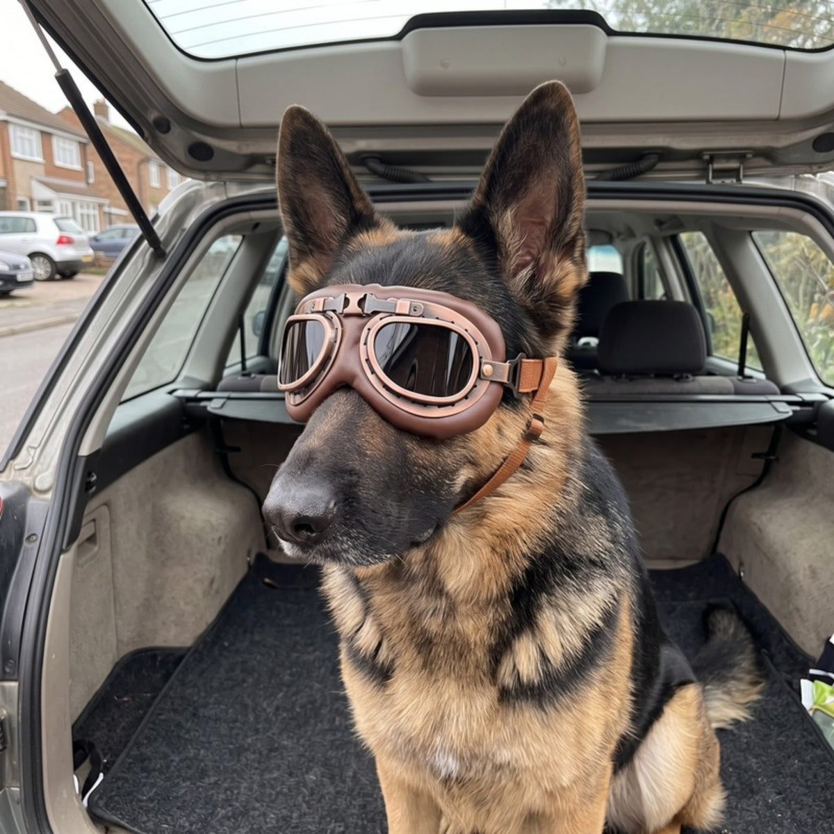 Woofidoo Aviator Dog Goggles