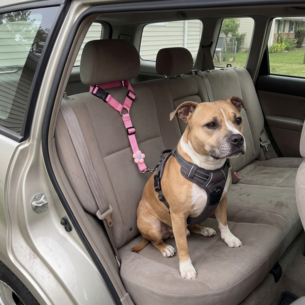 Woofidoo Dog Car Safety Leash