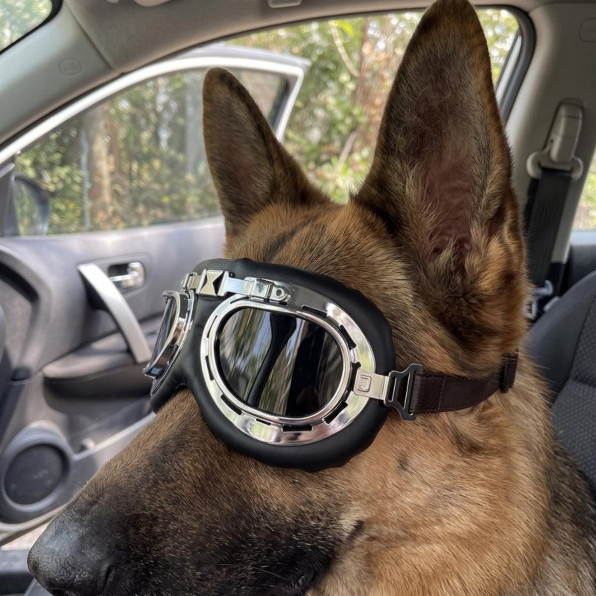 Woofidoo Aviator Dog Goggles