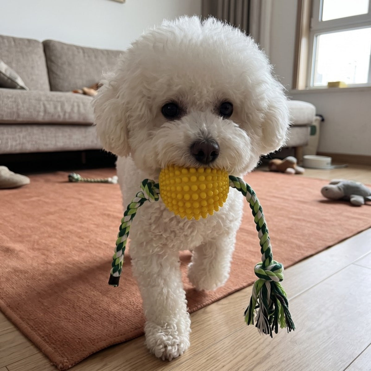 Woofidoo Bounce Dog Chew Ball