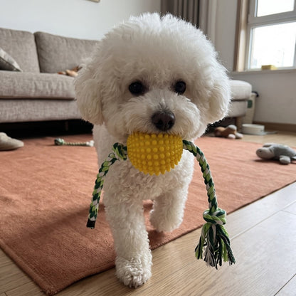 Woofidoo Bounce Dog Chew Ball