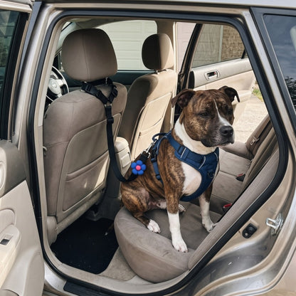 Woofidoo Dog Car Safety Leash