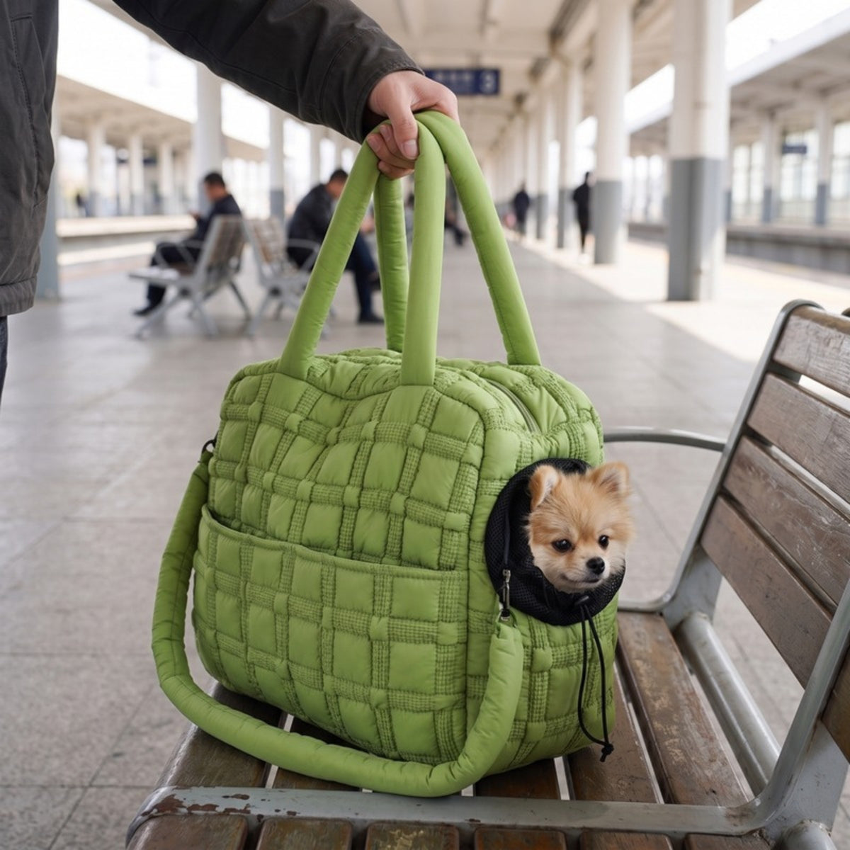 Woofidoo Wanderer Cat Travel Bag