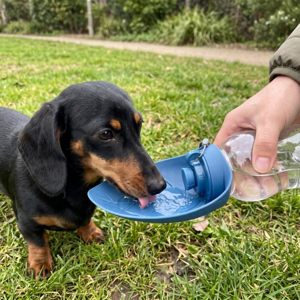 Woofidoo Trailmate Dog Water Bottle