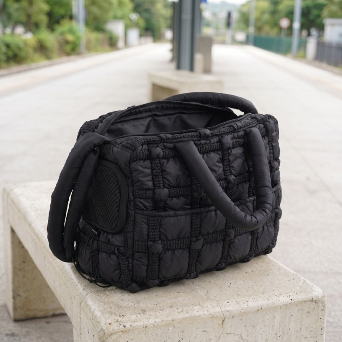 Woofidoo Wanderer Cat Travel Bag