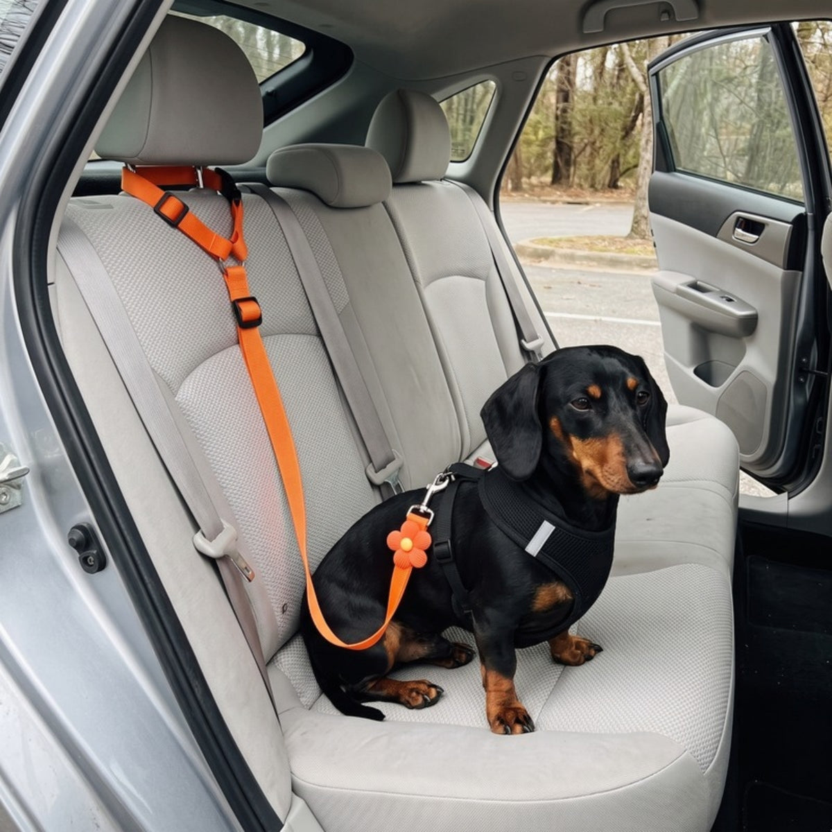Woofidoo Dog Car Safety Leash