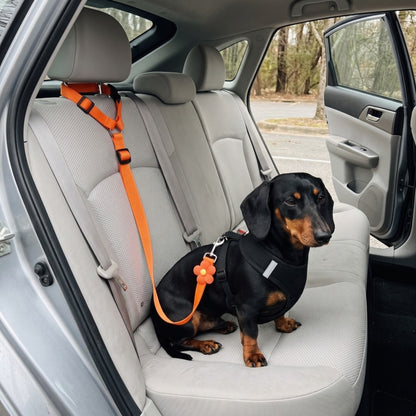 Woofidoo Dog Car Safety Leash