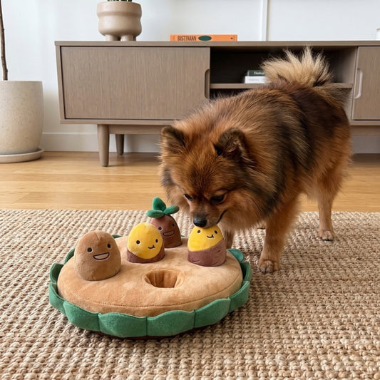 Woofidoo Potato Dog Toy