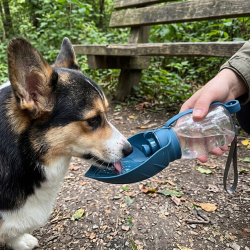 Woofidoo Trailmate Dog Water Bottle