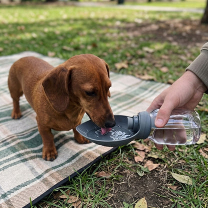 Woofidoo Trailmate Dog Water Bottle