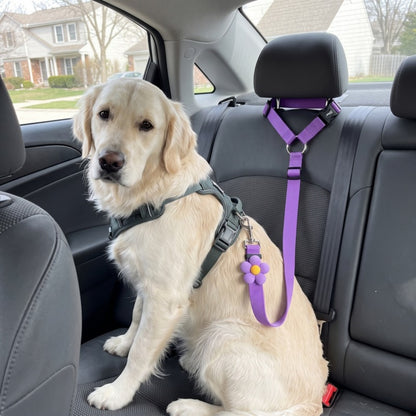 Woofidoo Dog Car Safety Leash