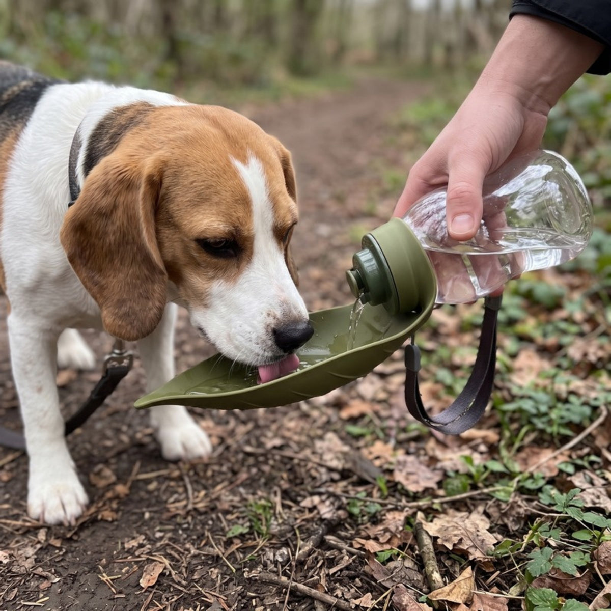 Woofidoo Trailmate Dog Water Bottle