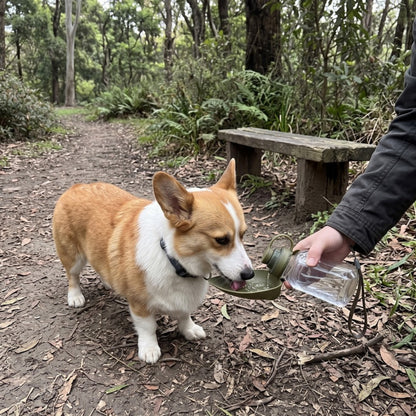 Woofidoo Trailmate Dog Water Bottle
