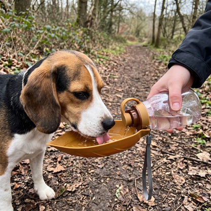 Woofidoo Trailmate Dog Water Bottle