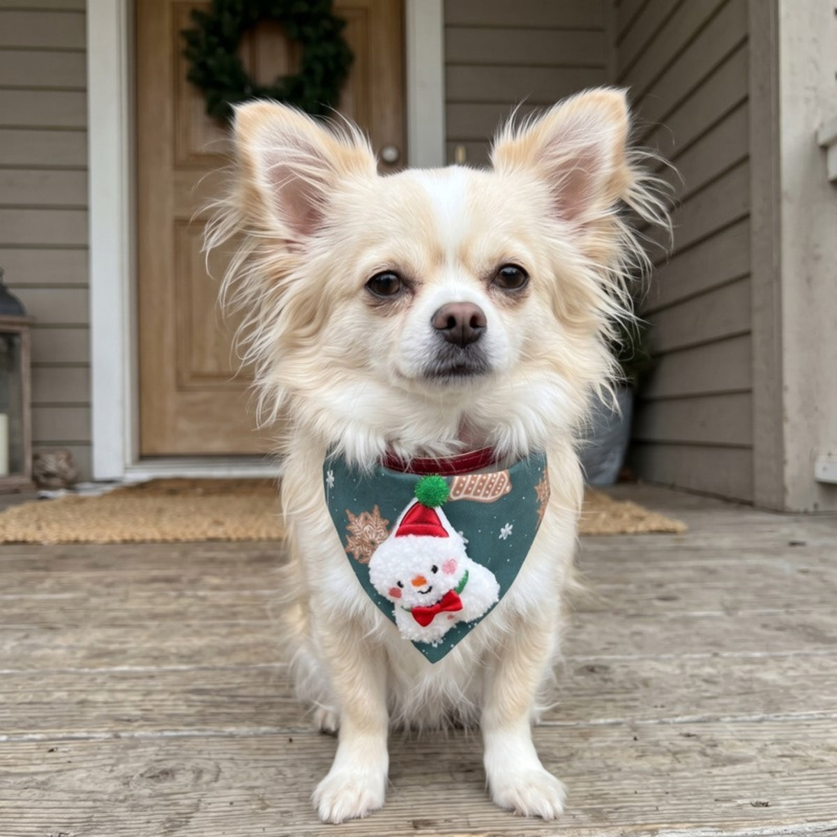 Woofidoo Reindeer Christmas Dog Bandana