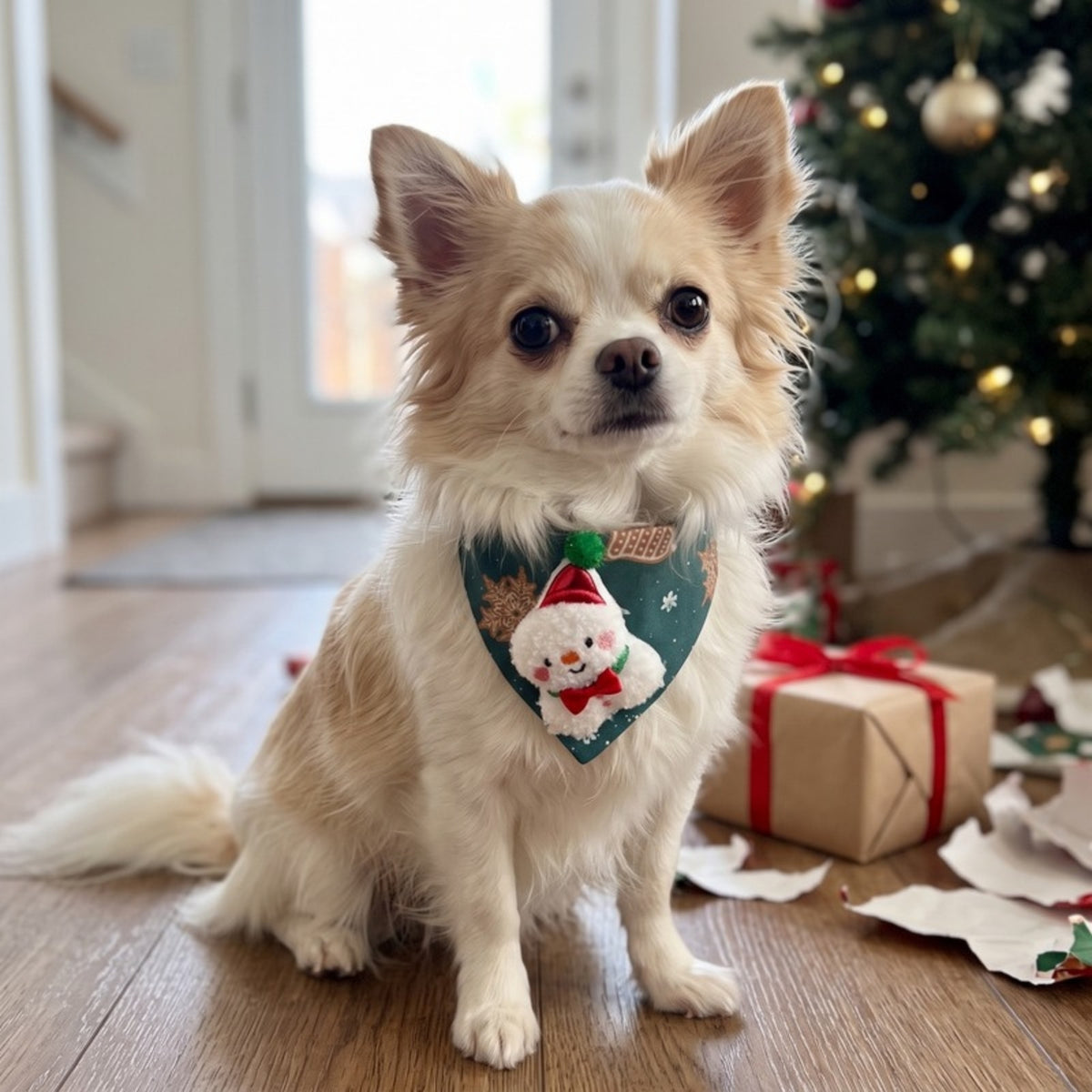 Woofidoo Reindeer Christmas Dog Bandana