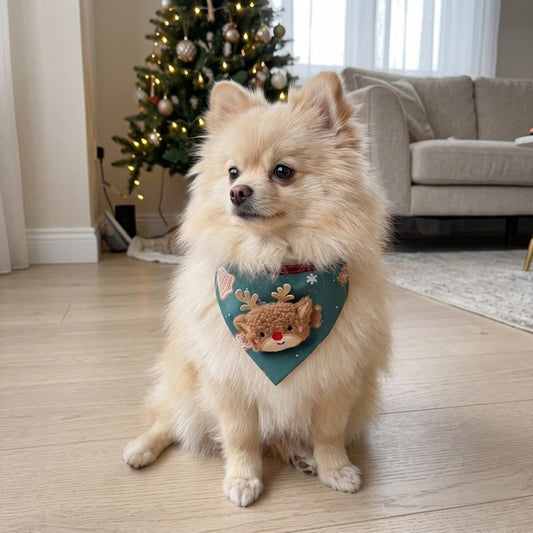 Woofidoo Reindeer Christmas Dog Bandana