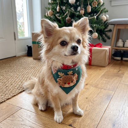 Woofidoo Reindeer Christmas Dog Bandana