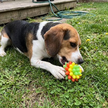 Woofidoo Gnawster Dog Teething Ball