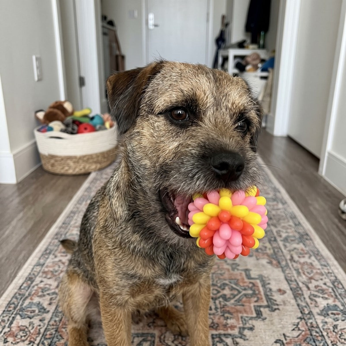 Woofidoo Gnawster Dog Teething Ball
