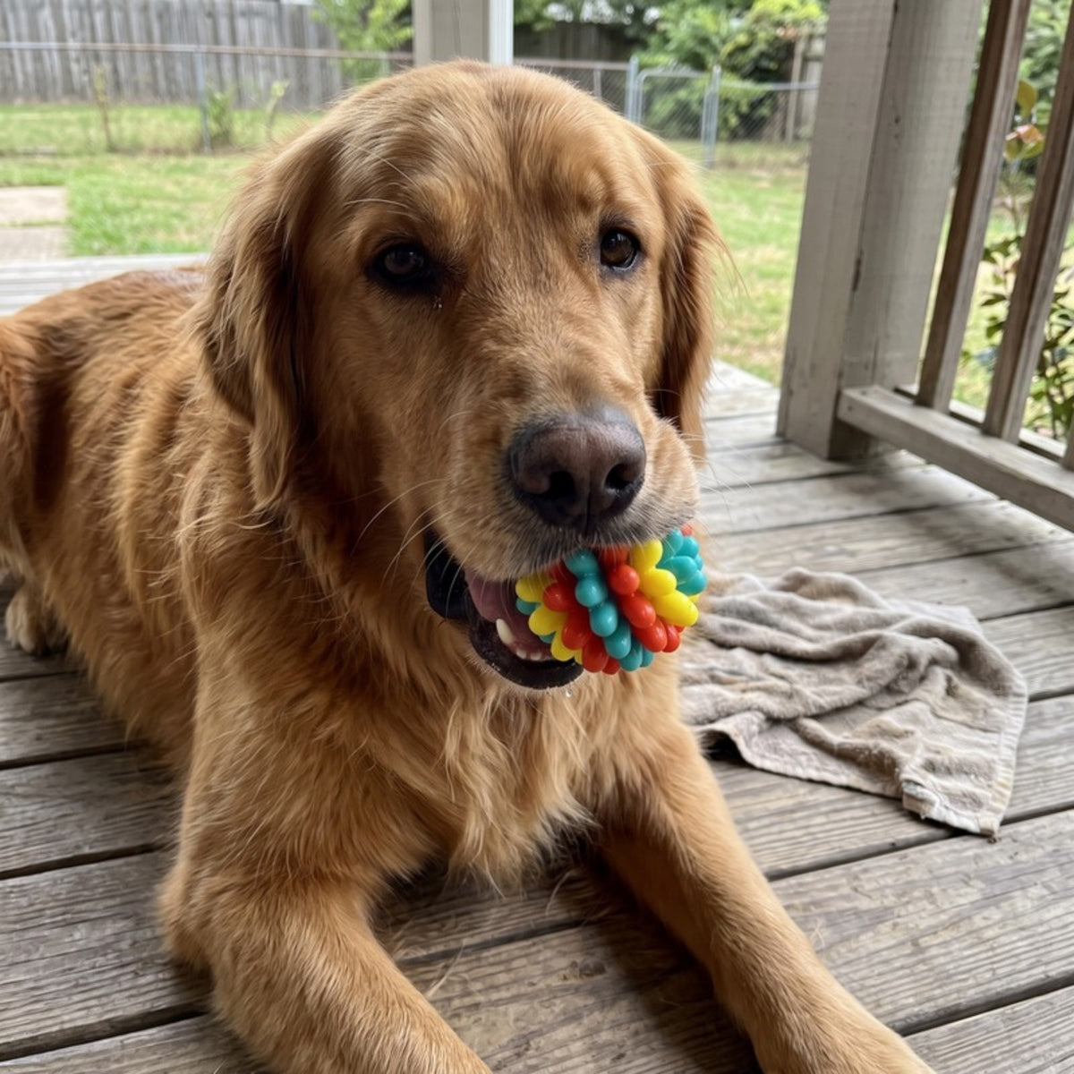 Woofidoo Gnawster Dog Teething Ball