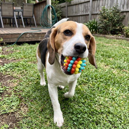 Woofidoo Gnawster Dog Teething Ball