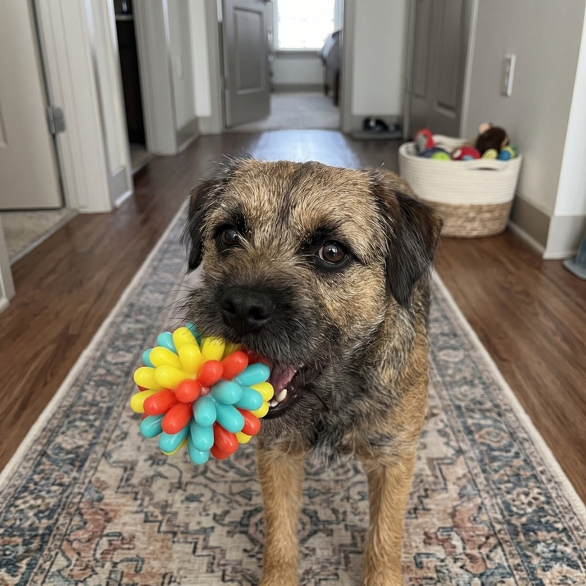 Woofidoo Gnawster Dog Teething Ball