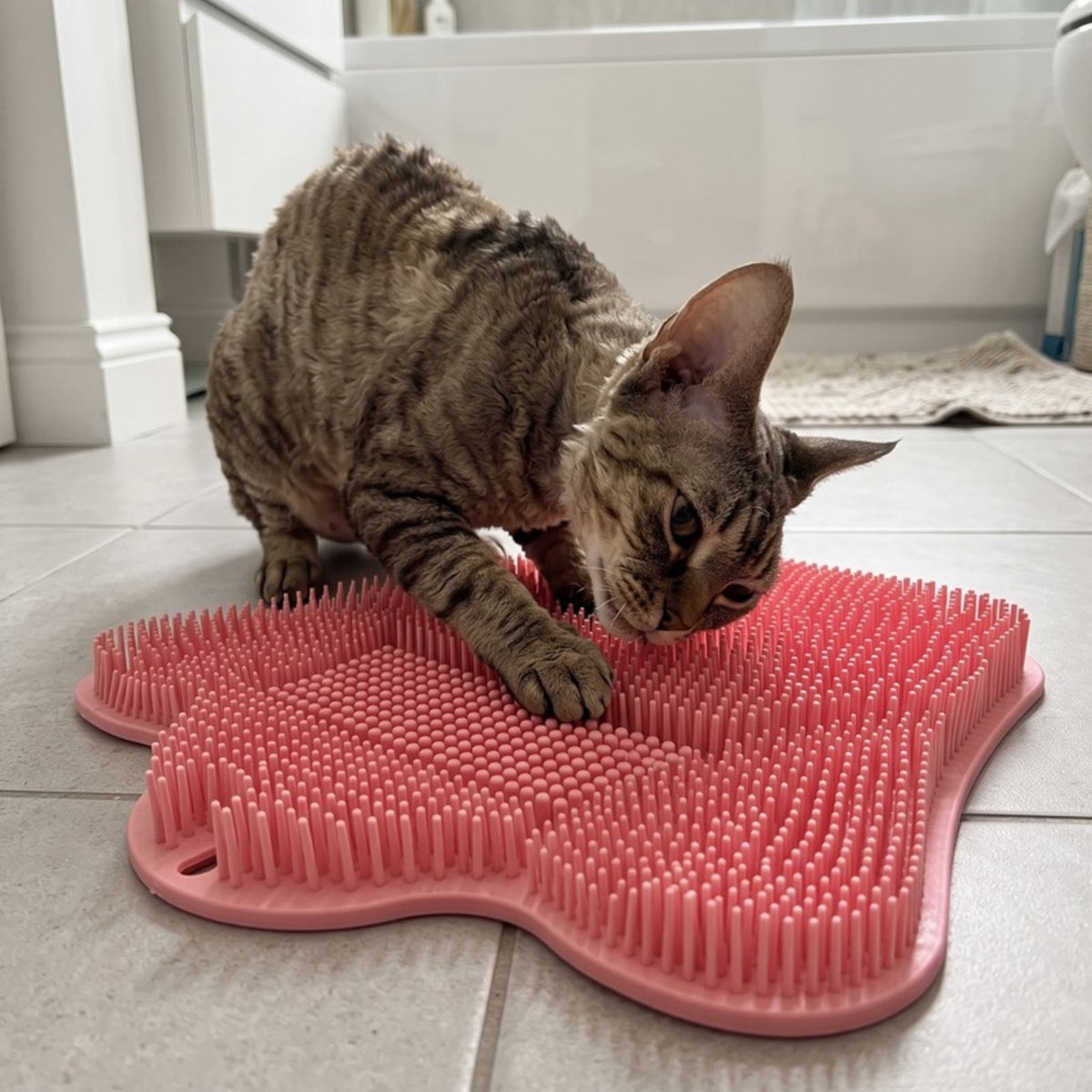 Woofidoo Cat Self Groomer Brush