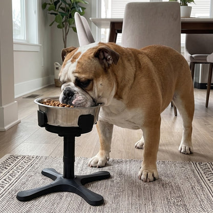 Woofidoo Dinette Elevated Dog Bowl Stand