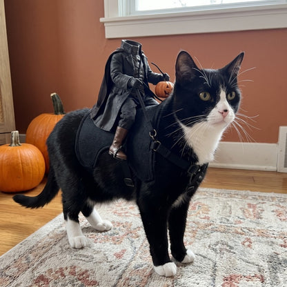 Woofidoo Horseman Cat Halloween Costume