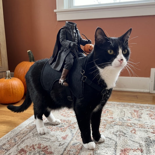 Woofidoo Horseman Cat Halloween Costume