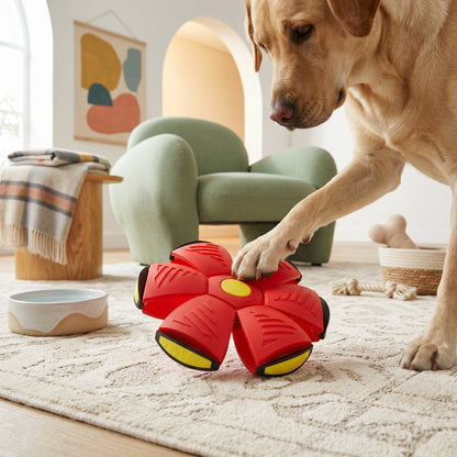 Woofidoo Flying Saucer Fetch Toy