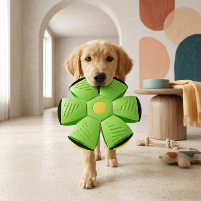 Woofidoo Flying Saucer Fetch Toy
