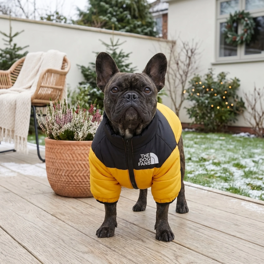 Woofidoo Dog Puffer Jacket