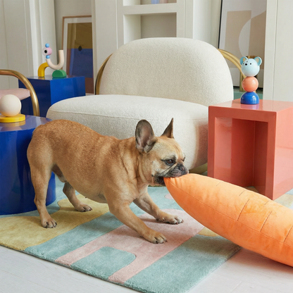 French bulldog playing with a large, soft orange carrot plush dog toy on a colorful rug.