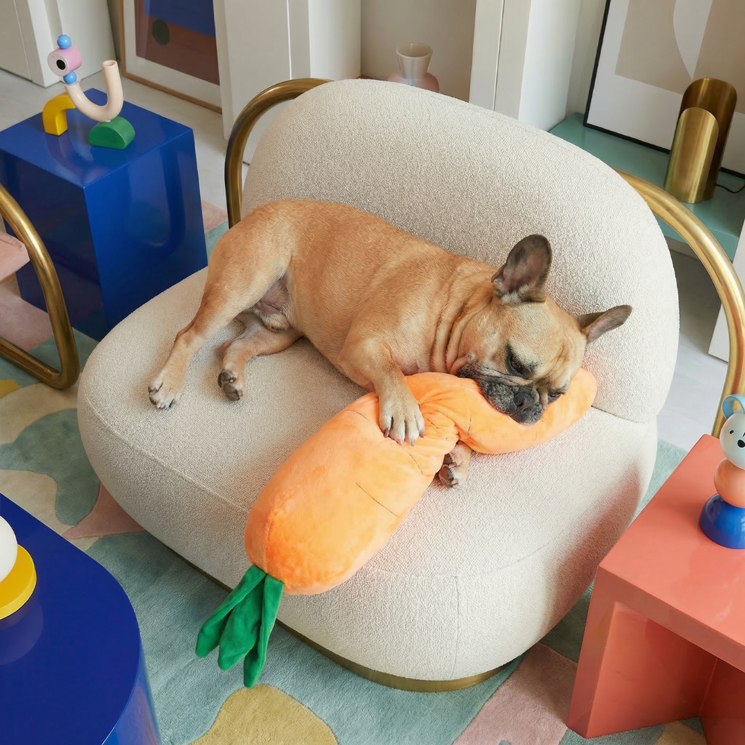 French bulldog napping on a cream chair, cuddling a giant orange plush carrot dog toy with green leaves.