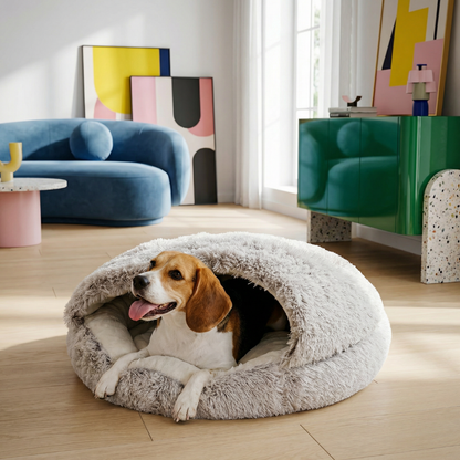 Beagle dog relaxing in a cozy, light gray faux fur shell cave pet bed on a wooden floor.