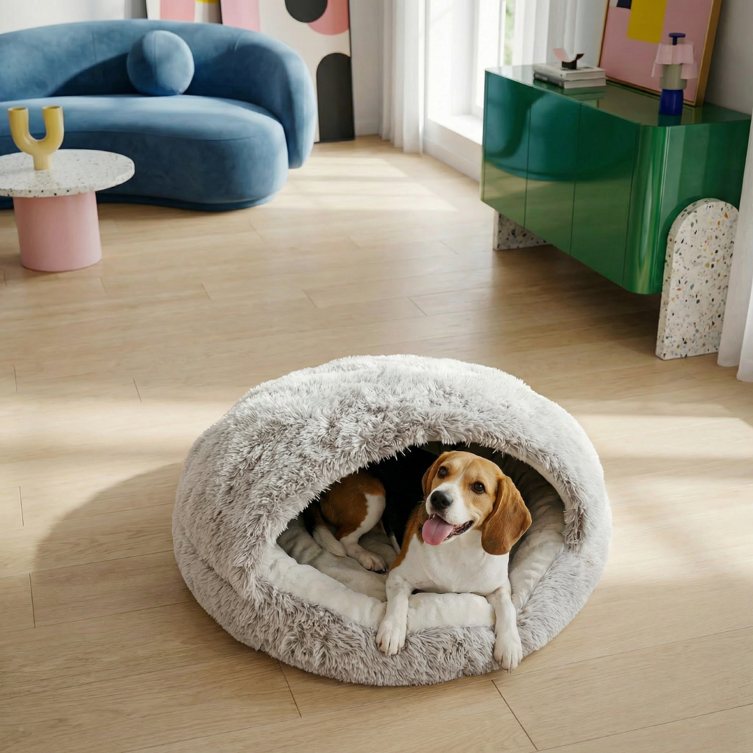 A happy beagle rests in a cozy, round gray faux fur pet cave bed on a light wood floor.