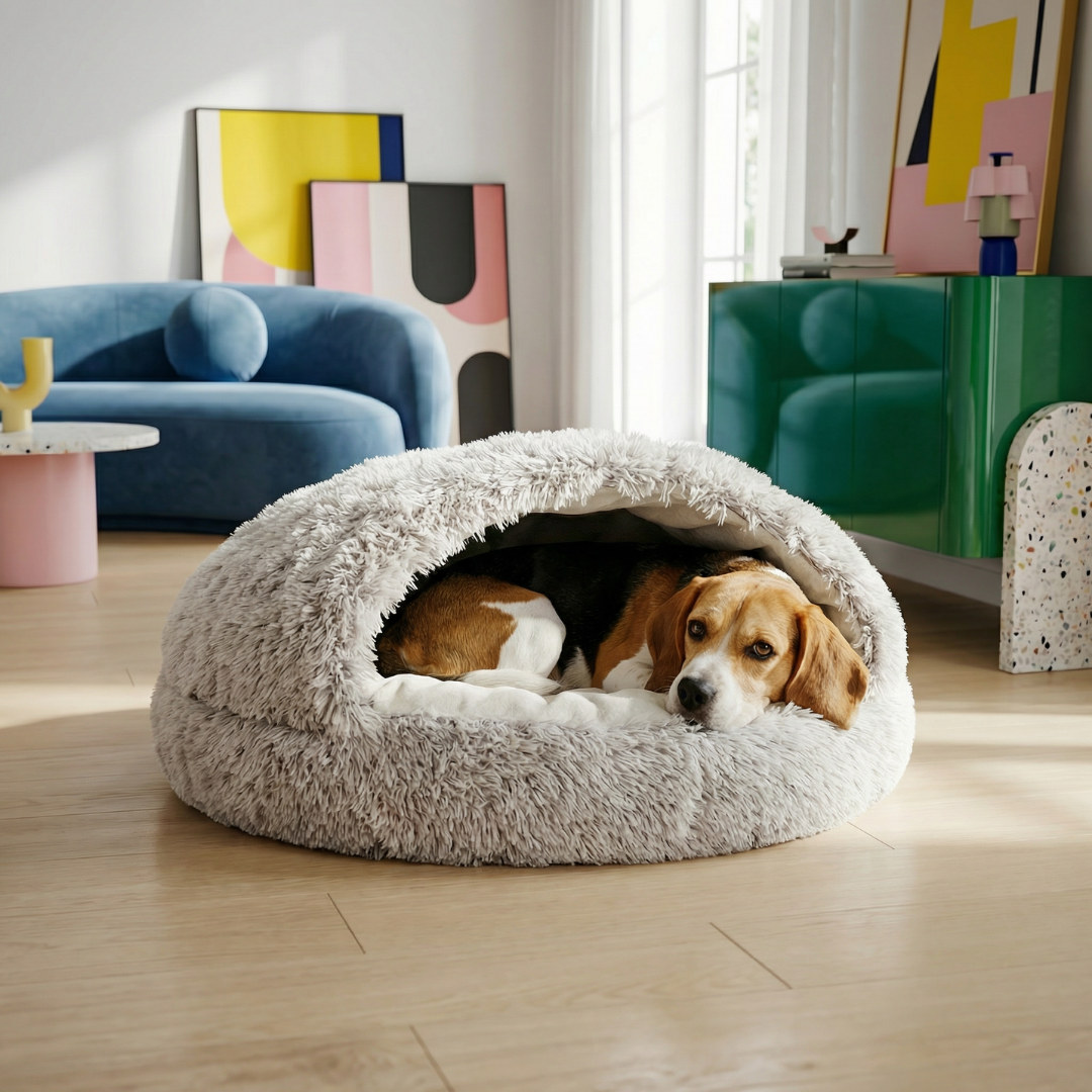 Beagle dog relaxing in a cozy, light gray faux fur shell cave pet bed on a wooden floor.