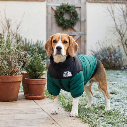 Woofidoo Dog Puffer Jacket
