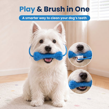 Woofidoo Dental Chew Toy